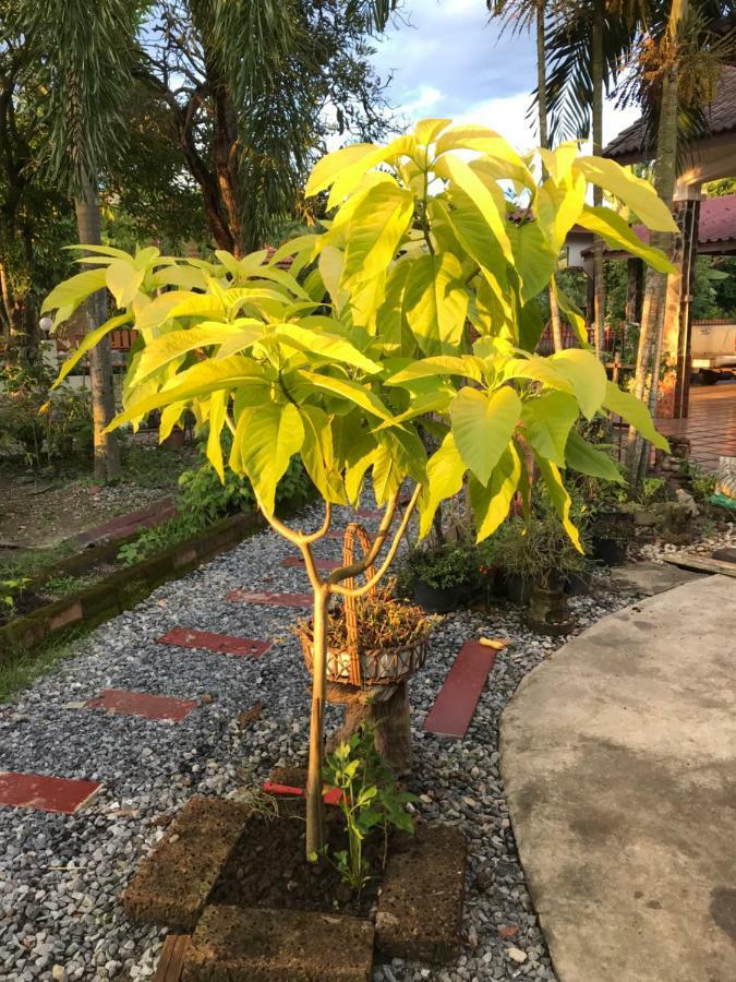 Grandma'S House Apartment Nakhon Nayok Ngoại thất bức ảnh